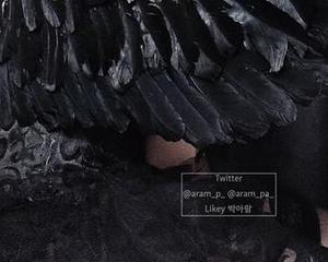 更新！Aram(아람)的DJAWA-荆棘女王写真集——你准备好被扎了吗？