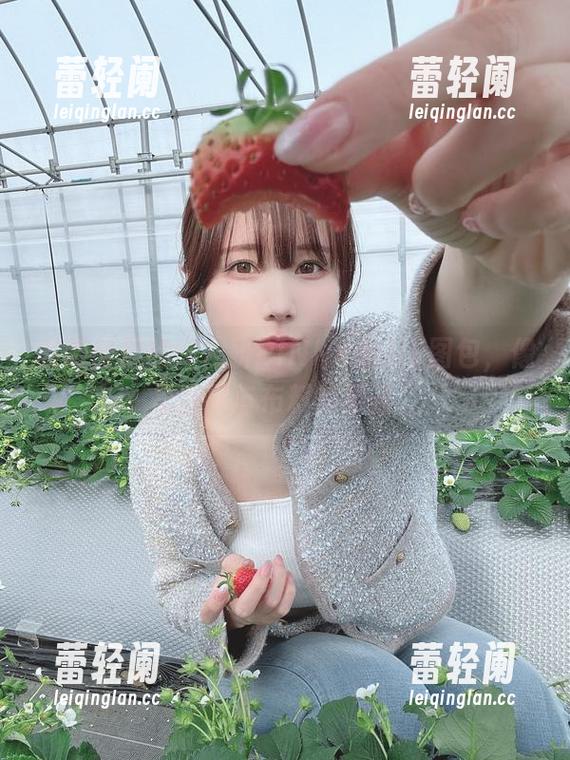 微微倾斜的けん研PINK×BLUE图包，像是糖果与布料的果酱。